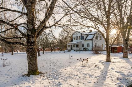 Bild av närområdet