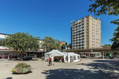 Bild av närområdet