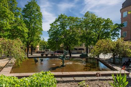 Bild av närområdet
