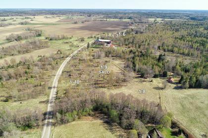 Bild av närområdet