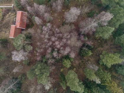 Illustrerad karta över fastigheten eller området