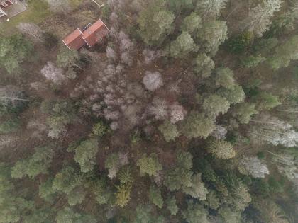 Illustrerad karta över fastigheten eller området