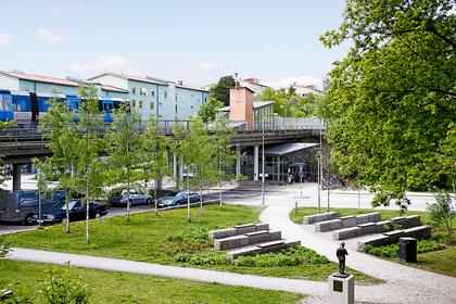 Bild av närområdet