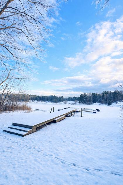 Bild av närområdet