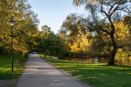 Bild av närområdet