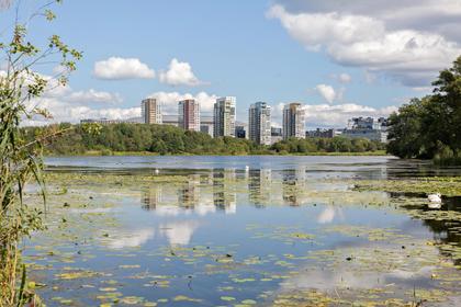 Bild av närområdet