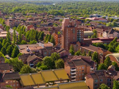 Bild av närområdet