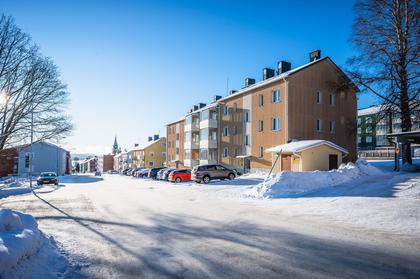 Bild av närområdet