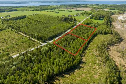 Bild av närområdet