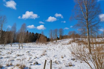 Bild av närområdet