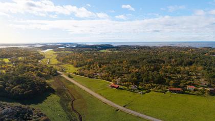 Bild av närområdet