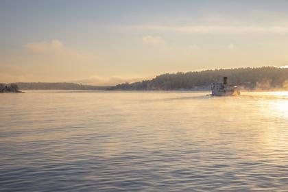 Bild av närområdet