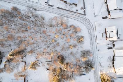 Illustrerad karta över fastigheten eller området