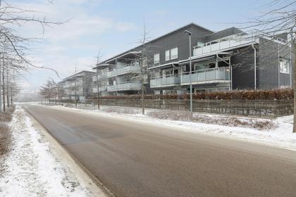 Bild av närområdet