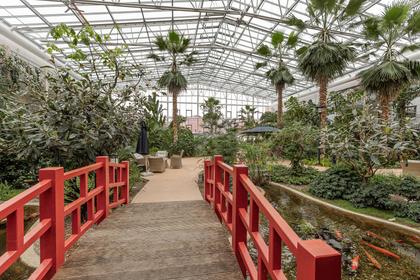 Bild av närområdet