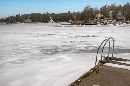 Bild av närområdet
