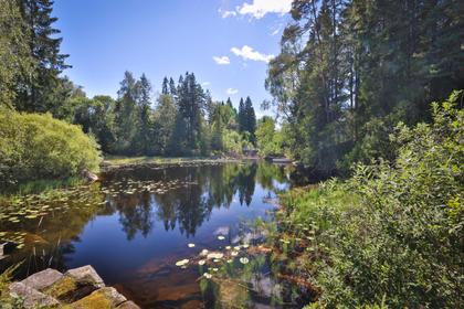 Bild av närområdet