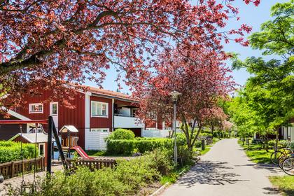 Bild av närområdet