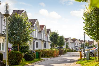 Bild av närområdet