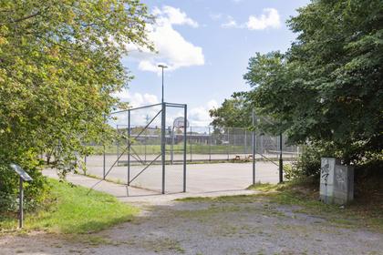 Bild av närområdet