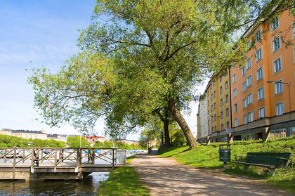 Bild av närområdet