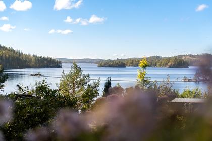 Bild av närområdet