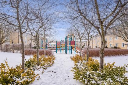 Bild av närområdet