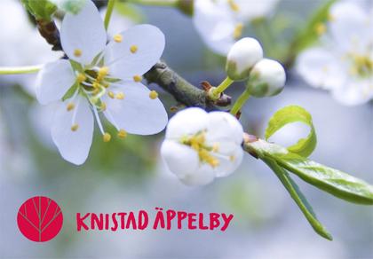 Knistad Äppelby