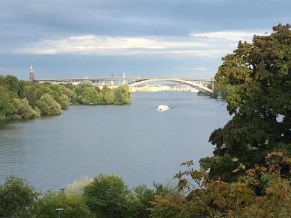 Bild av närområdet