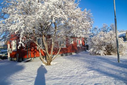 Bild av närområdet