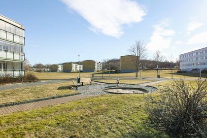 Bild av närområdet