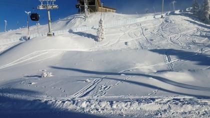 Bild av närområdet