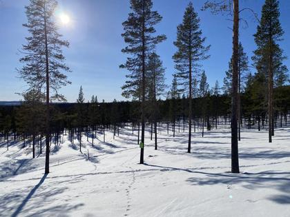 Bild av närområdet