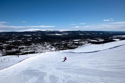 Bild av närområdet