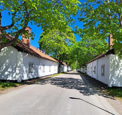 Bild av närområdet