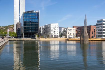 Bild av närområdet