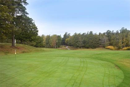 Bild av närområdet