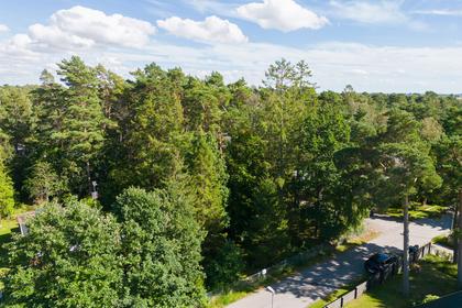 Bild av närområdet