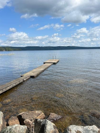 Bild av närområdet