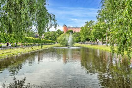 Bild av närområdet