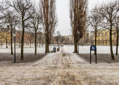 Bild av närområdet