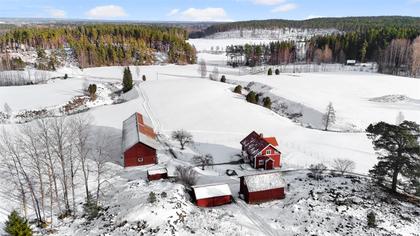 Bild av närområdet