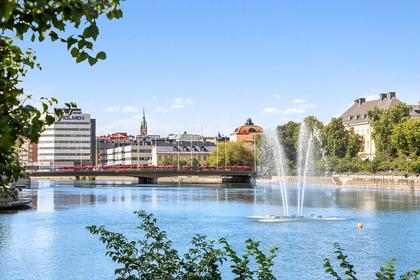 Bild av närområdet