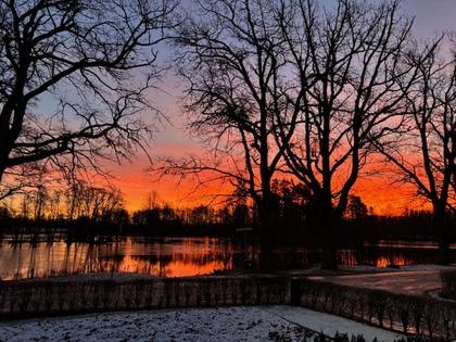 Bild av närområdet