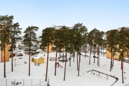 Bild av närområdet