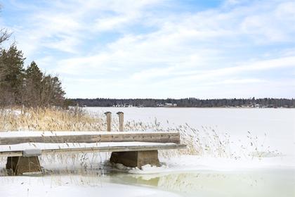 Bild av närområdet