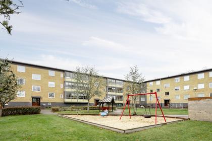 Bild av närområdet