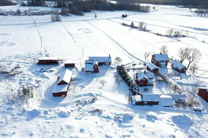 Bild av närområdet