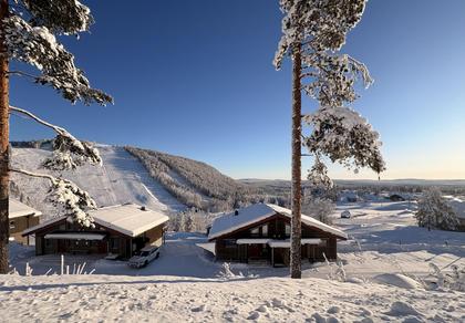 Bild av närområdet