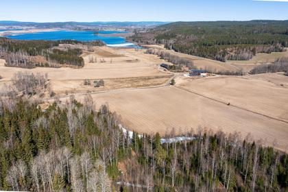 Bild av närområdet